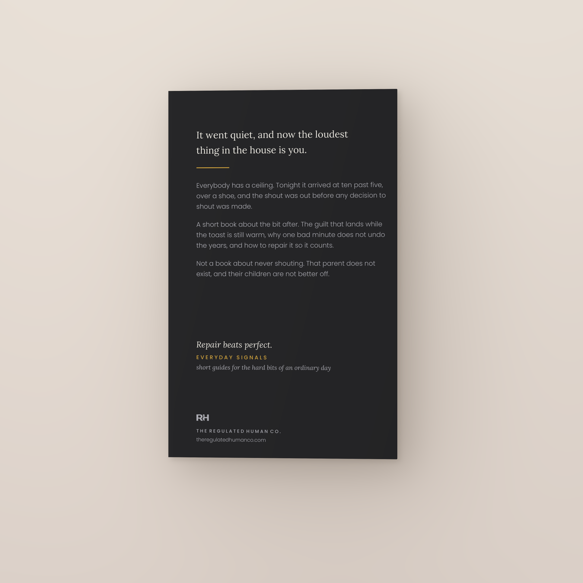 After the Shout: back cover. Everyday Signals, ages 8 to 12.
