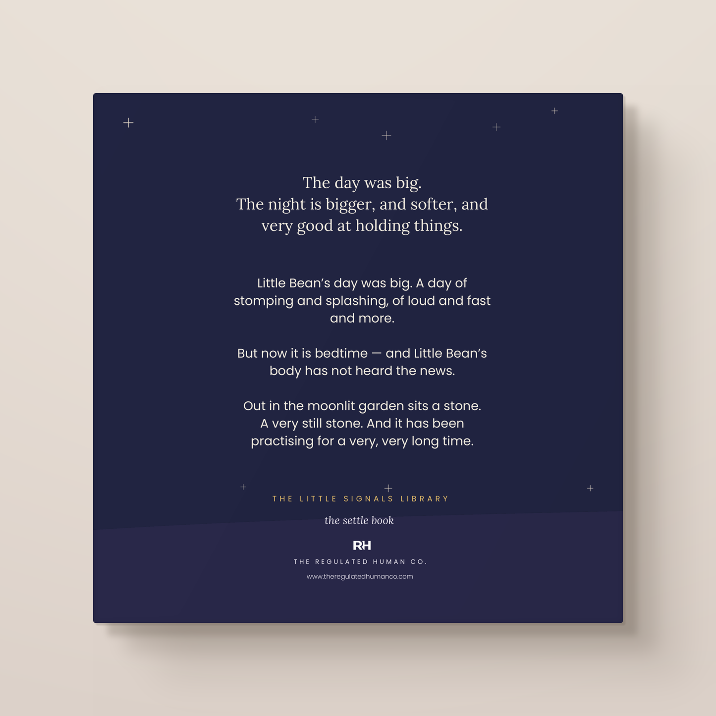 The Sleepy Stone - A Calming Bedtime Story for Busy Little Bodies