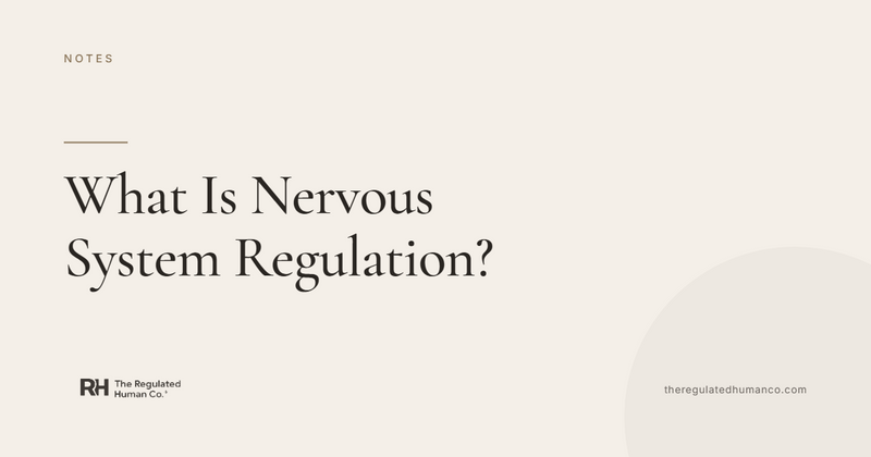 What Is Nervous System Regulation? A Plain-Language Guide