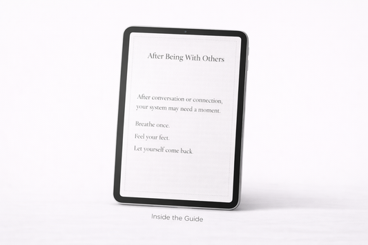 Small Pauses - Brief Regulation Resets for Everyday Life