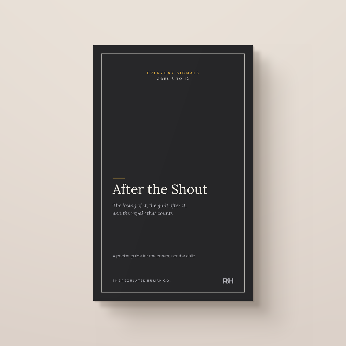 After the Shout: front cover. Everyday Signals, ages 8 to 12.