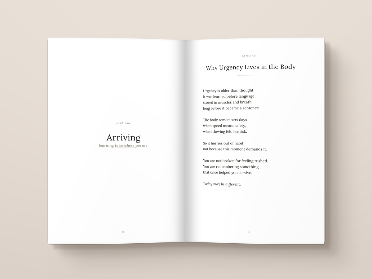There Is No Rush: inside pages. A book from The Regulated Human Co.