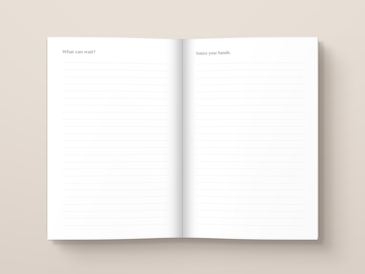 The Regulation Notebook — inside pages. A journal from The Regulated Human Co.