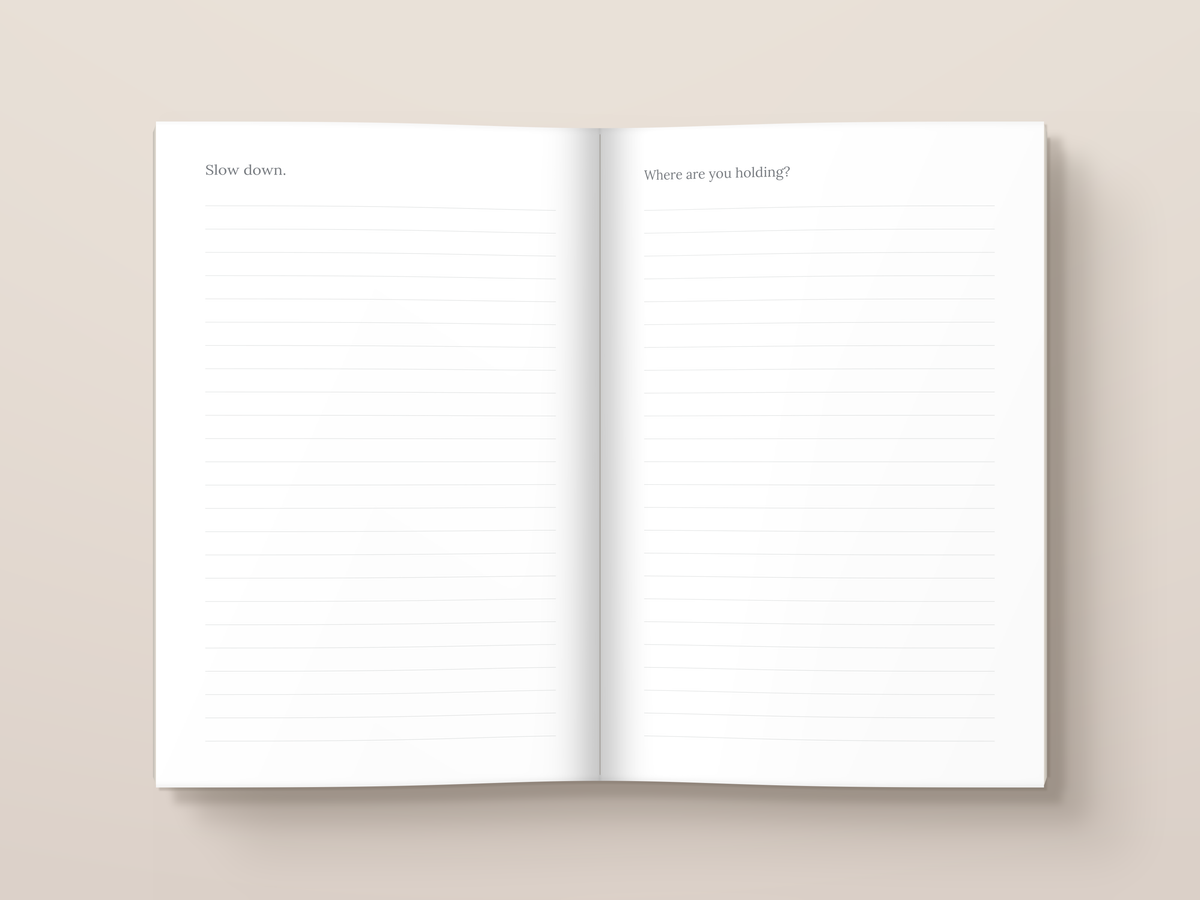 The Regulation Notebook — inside pages. A journal from The Regulated Human Co.