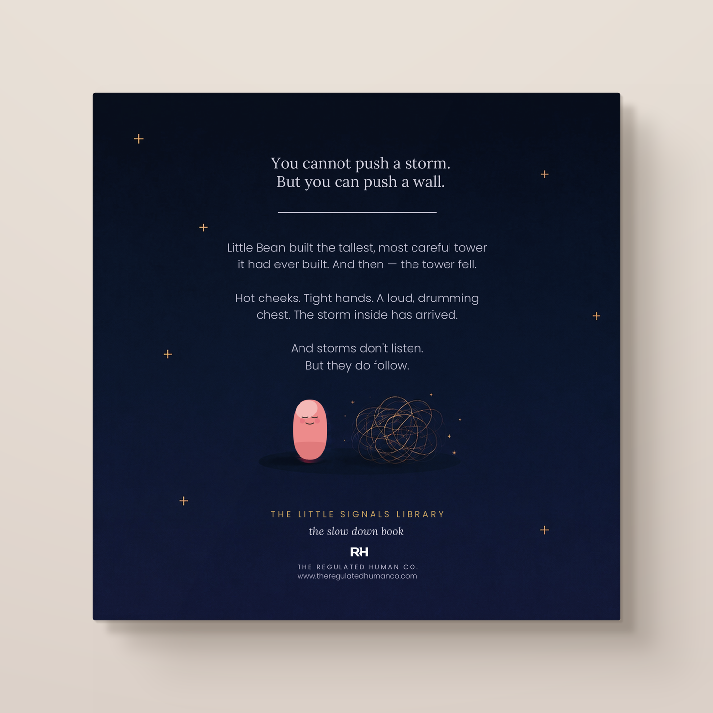 The Storm Inside - A Calming Story About Big Feelings for Little Bodies
