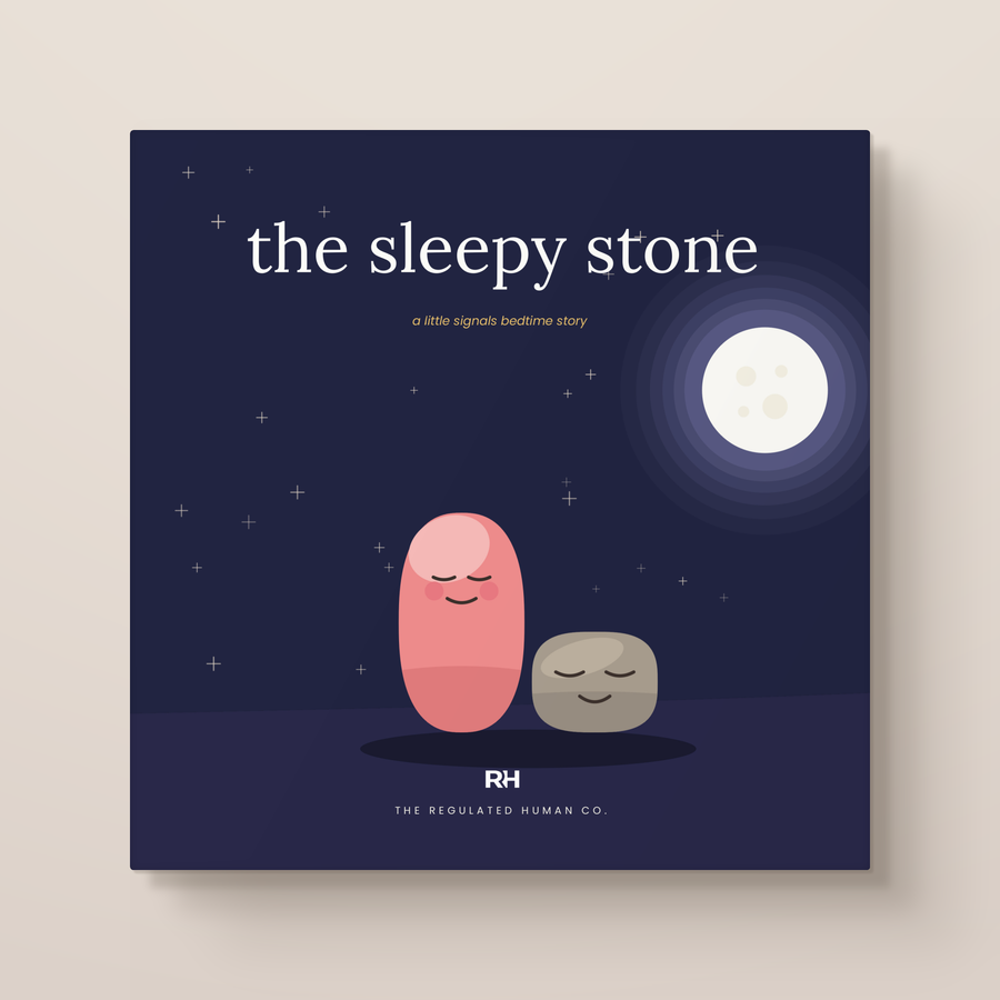 The Sleepy Stone - A Calming Bedtime Story for Busy Little Bodies