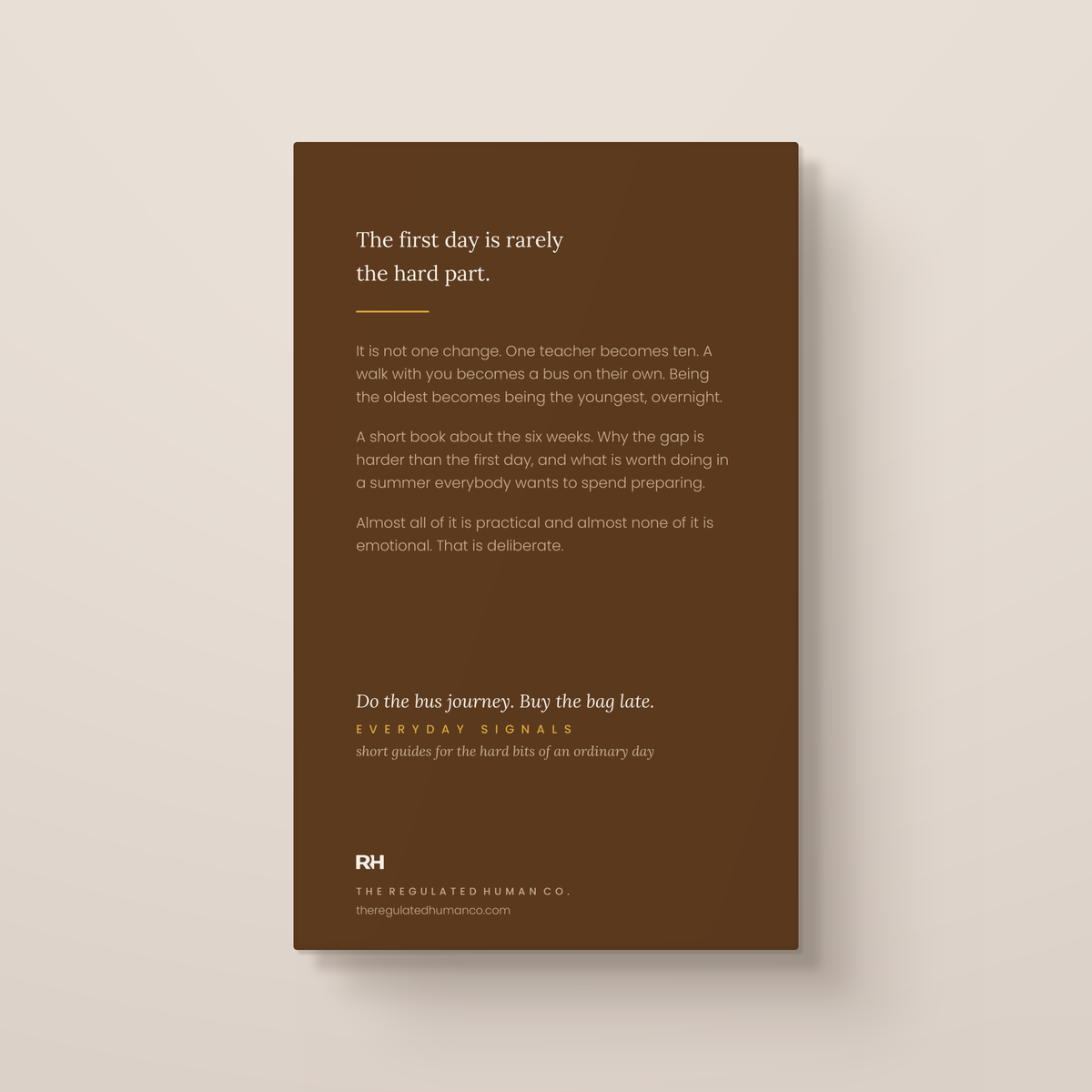 The Summer Before Secondary: back cover. Everyday Signals, ages 8 to 12.