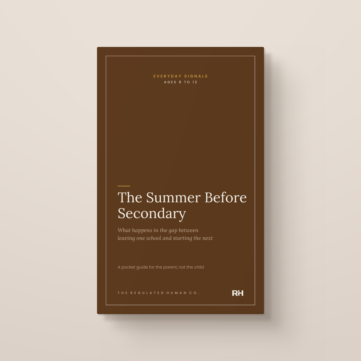 The Summer Before Secondary: front cover. Everyday Signals, ages 8 to 12.