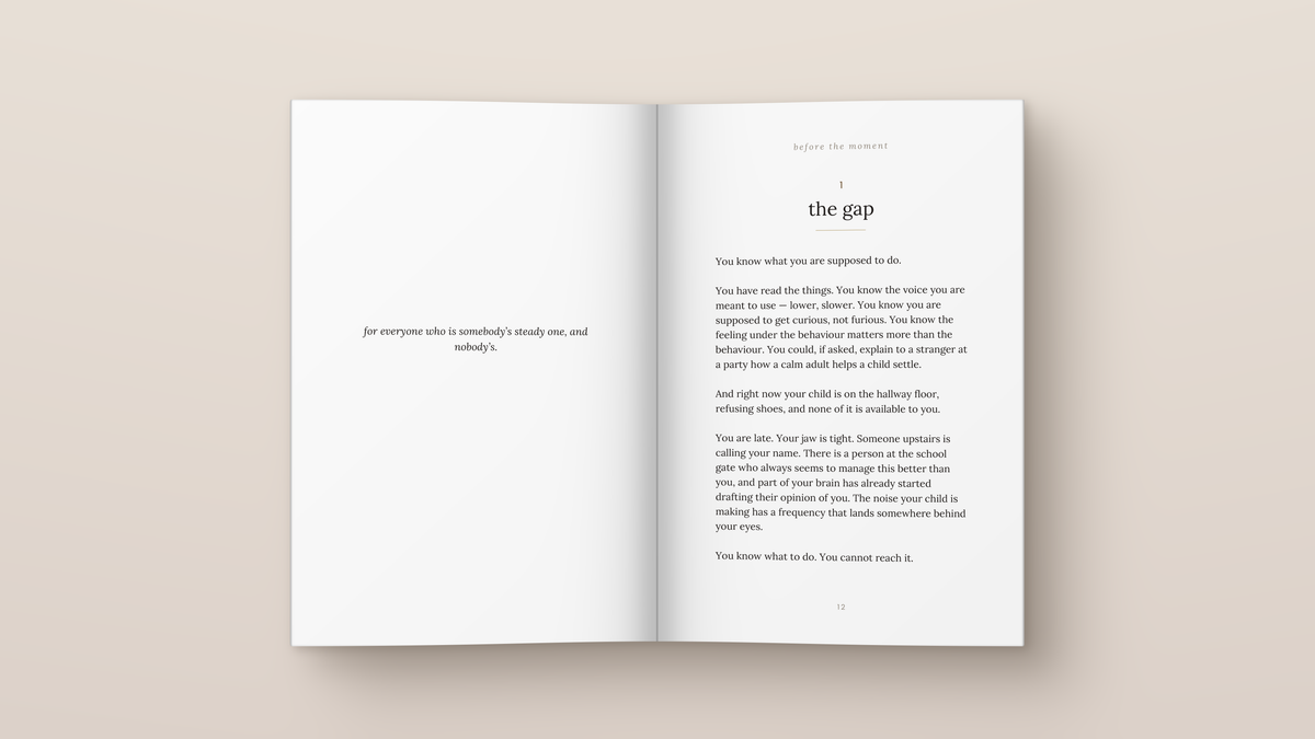 The Steady One: inside pages. A book from The Regulated Human Co.