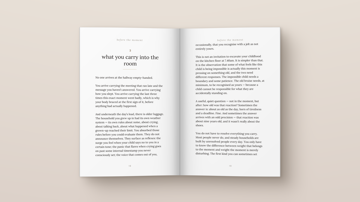 The Steady One: inside pages. A book from The Regulated Human Co.