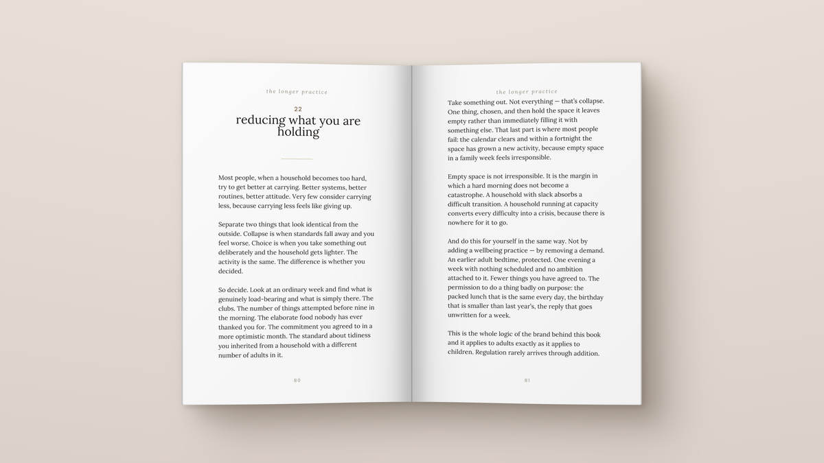 The Steady One: inside pages. A book from The Regulated Human Co.