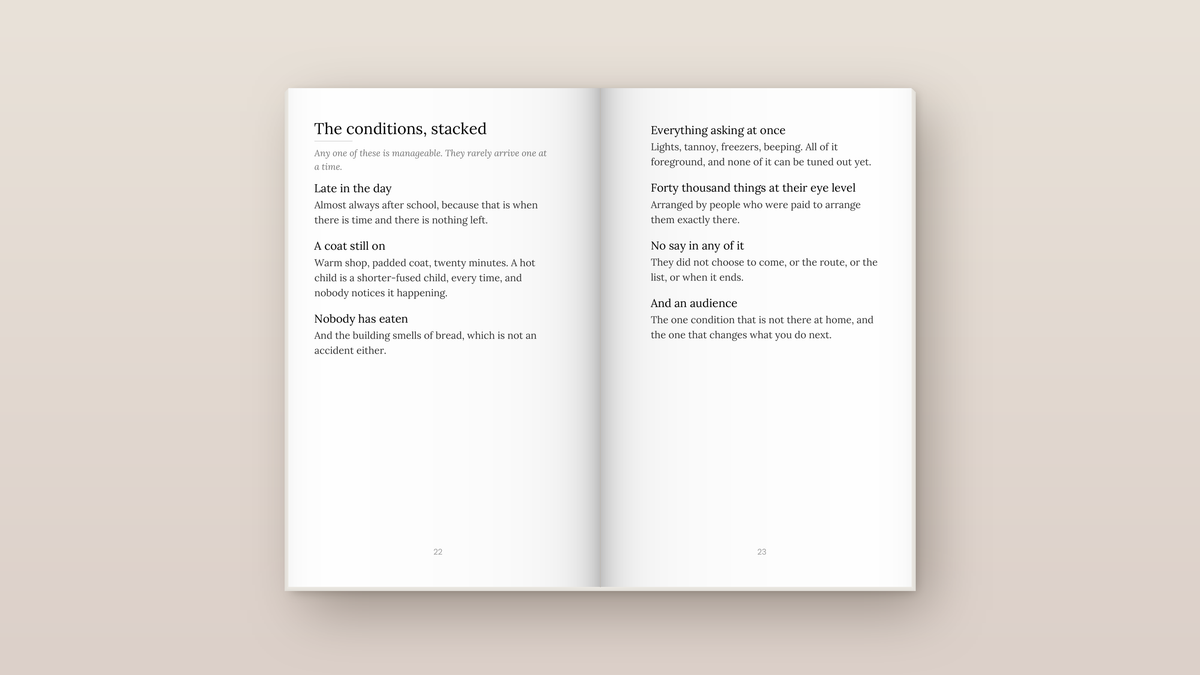 The Supermarket Run: inside pages. Everyday Signals, ages 2 to 8.