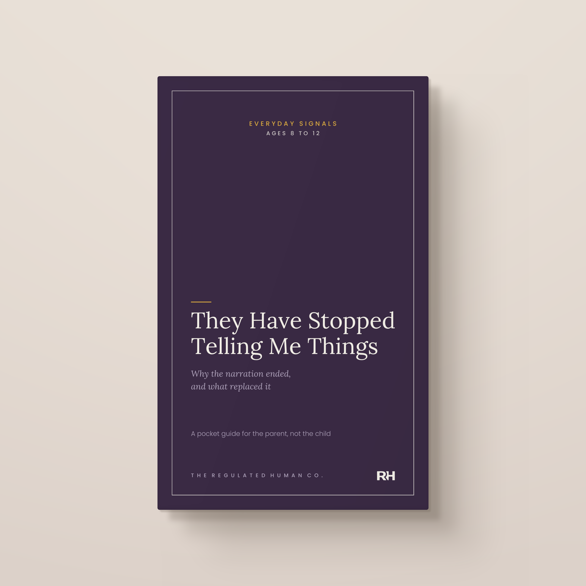 They Have Stopped Telling Me Things: front cover. Everyday Signals, ages 8 to 12.
