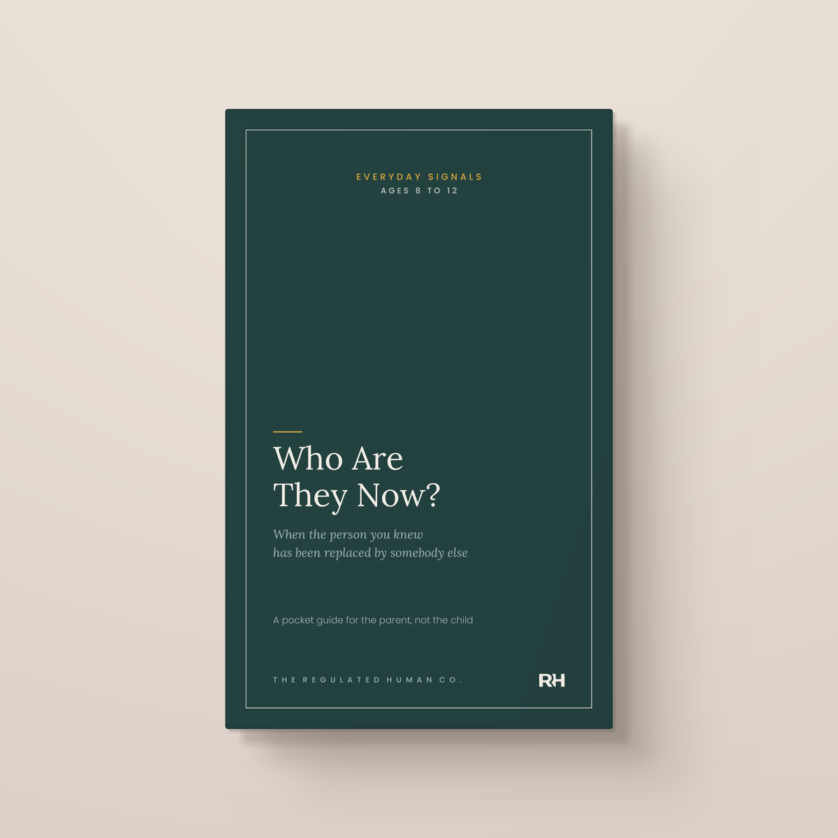 Who Are They Now?: front cover. Everyday Signals, ages 8 to 12.